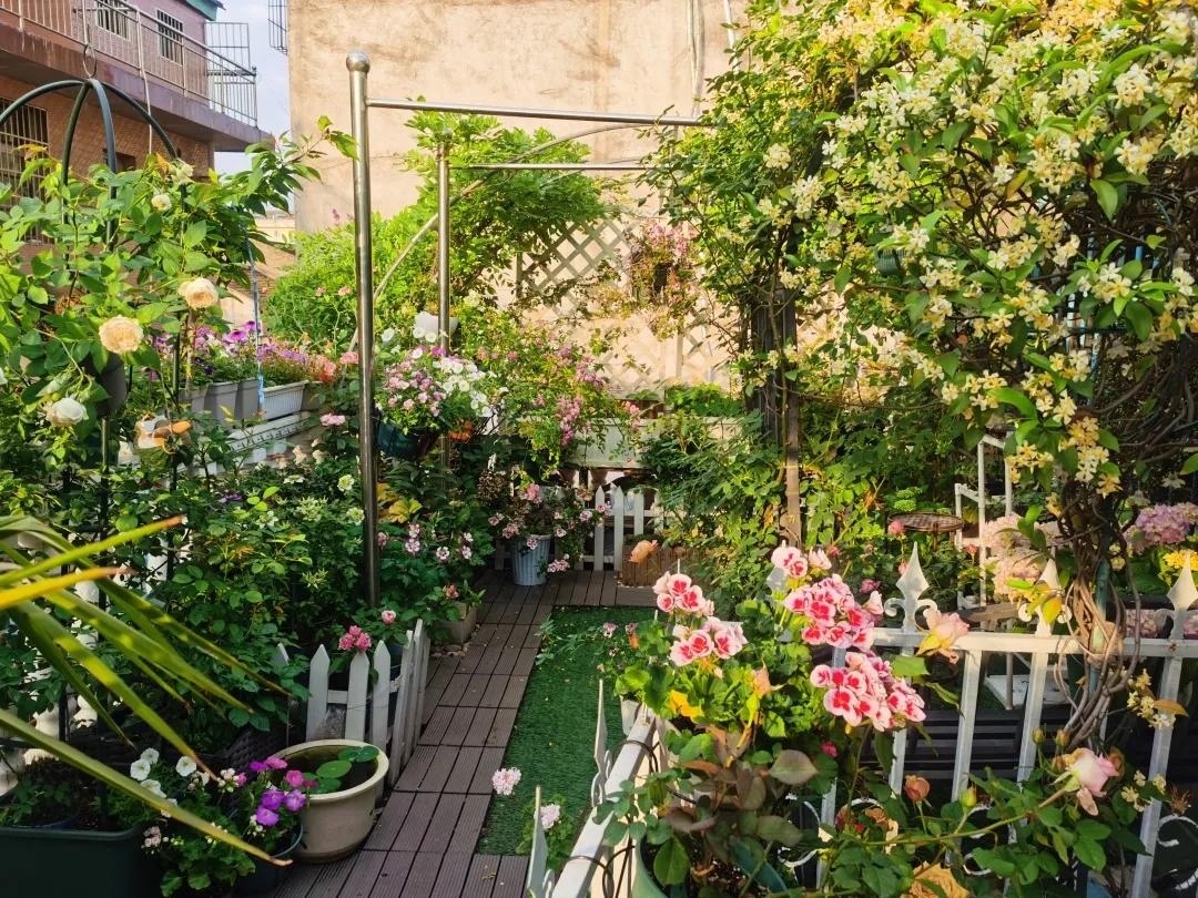 Từ sân thượng lạnh lẽo đến khu vườn ấm áp 500 chậu hoa: Góc chữa lành sau giờ làm của một mẹ bỉm- Ảnh 13.