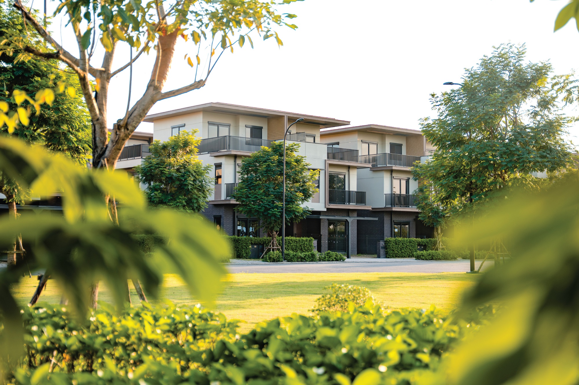 An cư hạnh phúc giữa thiên nhiên trong lành tại Izumi City- Ảnh 2.