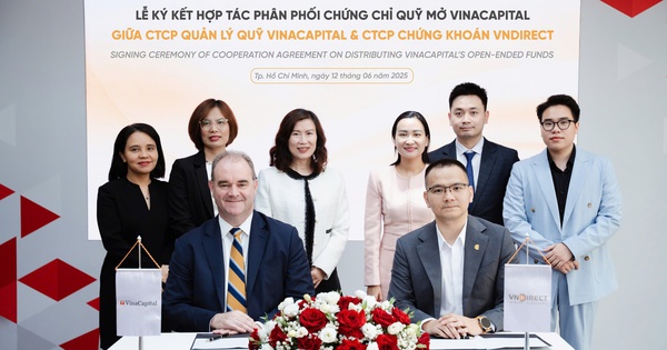 VNDIRECT chính thức phân phối quỹ mở VinaCapital trên nền tảng giao dịch- Ảnh 1.