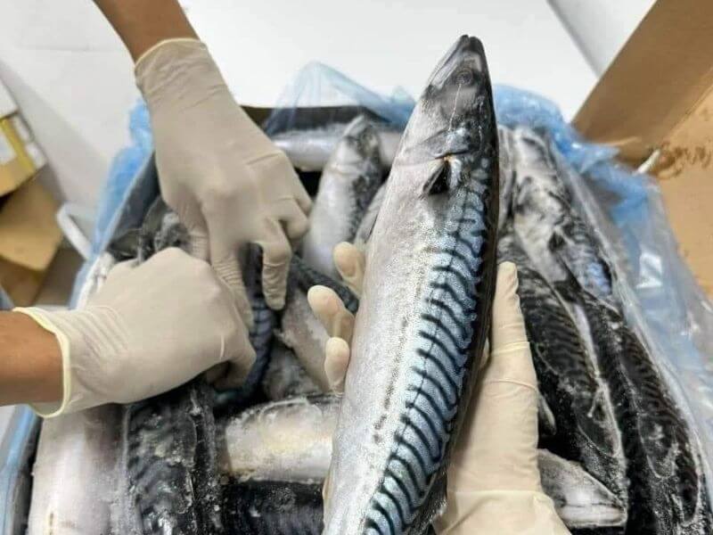 Không chỉ cá hồi, 9 hải sản này giàu Omega-3 không kém, có loại bình dân chợ bán rẻ bèo- Ảnh 2. Không chỉ cá hồi, 9 hải sản này giàu Omega-3 không kém, có loại bình dân chợ bán rẻ bèo- Ảnh 2.
