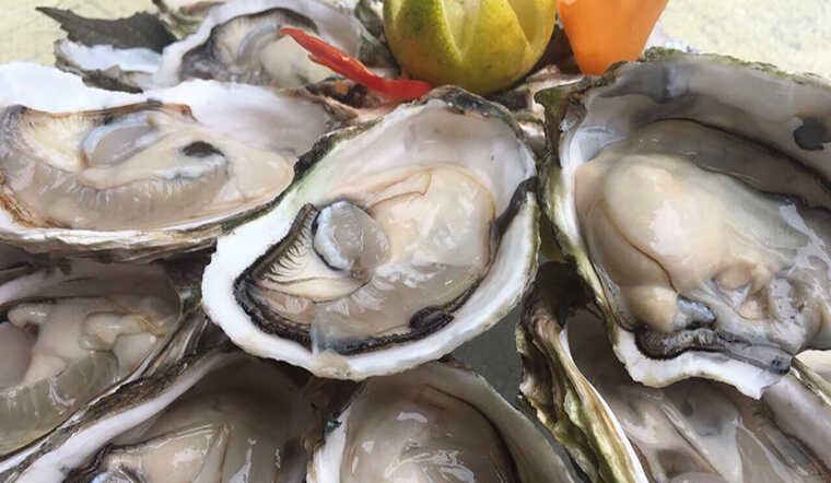 Không chỉ cá hồi, 9 hải sản này giàu Omega-3 không kém, có loại bình dân chợ bán rẻ bèo- Ảnh 4. Không chỉ cá hồi, 9 hải sản này giàu Omega-3 không kém, có loại bình dân chợ bán rẻ bèo- Ảnh 4.