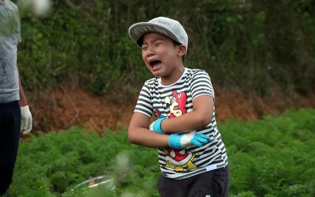 "Tê Giác" của Bố Ơi Mình Đi Đâu Thế: Từ nhóc tì cứng đầu đến học bá tuổi teen đạt 6 học bổng quốc tế- Ảnh 1. "Tê Giác" của Bố Ơi Mình Đi Đâu Thế: Từ nhóc tì cứng đầu đến học bá tuổi teen đạt 6 học bổng quốc tế- Ảnh 1.