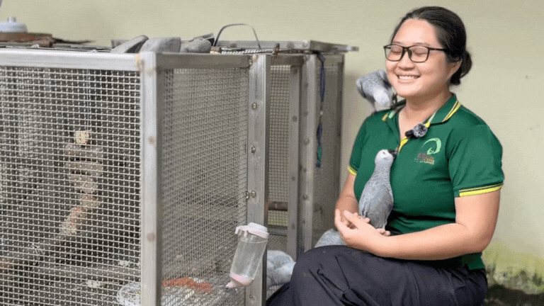 Thảo Cầm Viên công bố chương trình mới, nhưng dân mạng chỉ chú ý tới sự khác thường trong biểu cảm của nhân viên- Ảnh 5. Thảo Cầm Viên công bố chương trình mới, nhưng dân mạng chỉ chú ý tới sự khác thường trong biểu cảm của nhân viên- Ảnh 5.