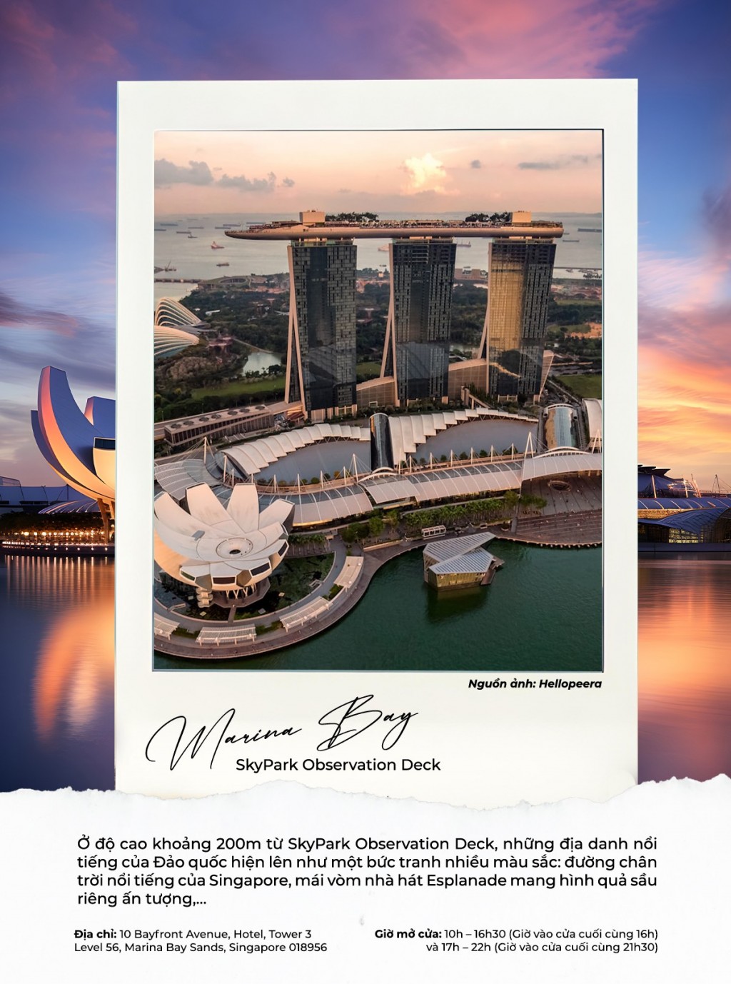 Cẩm nang khám phá Marina Bay - Biểu tượng sống động của Singapore- Ảnh 1.