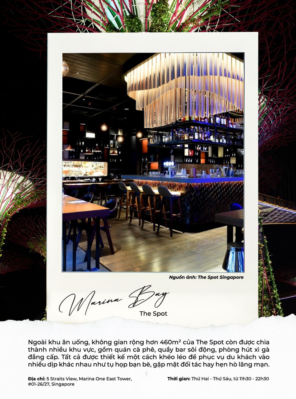 Cẩm nang khám phá Marina Bay - Biểu tượng sống động của Singapore- Ảnh 2.