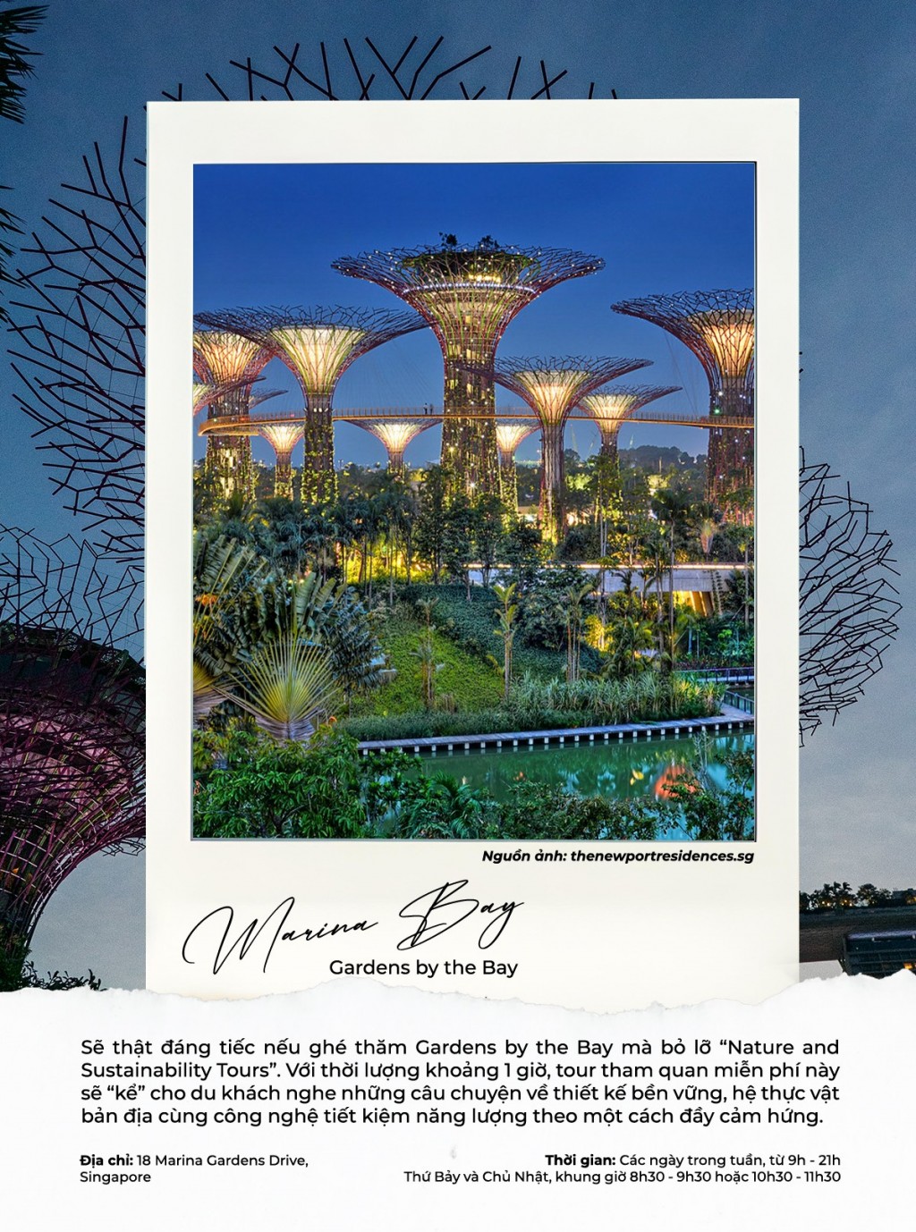 Cẩm nang khám phá Marina Bay - Biểu tượng sống động của Singapore- Ảnh 5.
