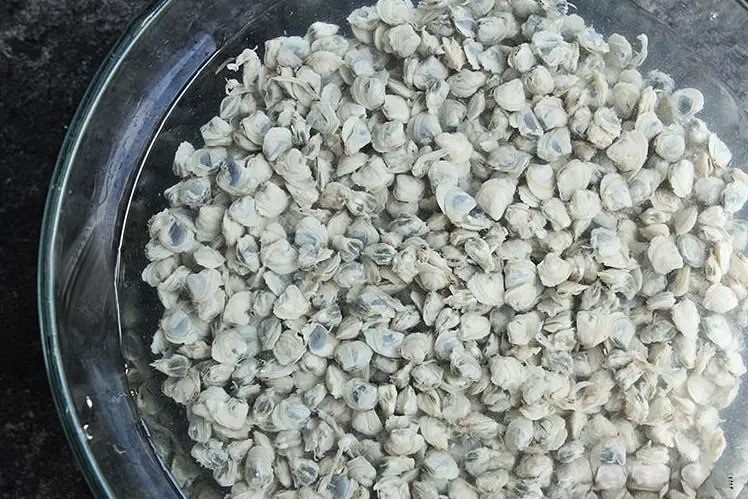 Loại "rau" này đang vào mùa, dùng nấu 3 món ngon vừa dễ lại bổ tỳ vị, giúp trắng da và chống lão hóa- Ảnh 21.