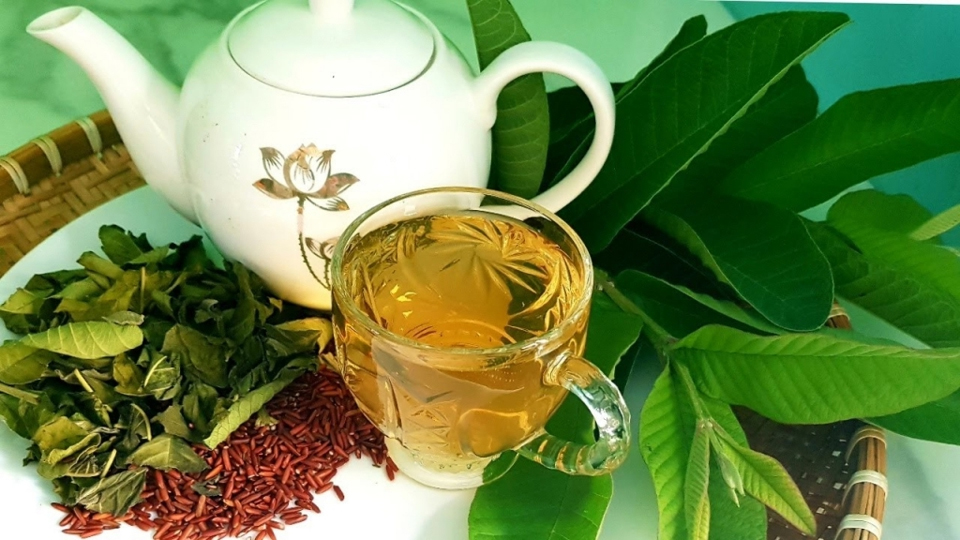 Uống nước lá ổi là khỏi bệnh đái tháo đường: BS giải thích cơ chế, nói rõ tác dụng đến đâu- Ảnh 4.