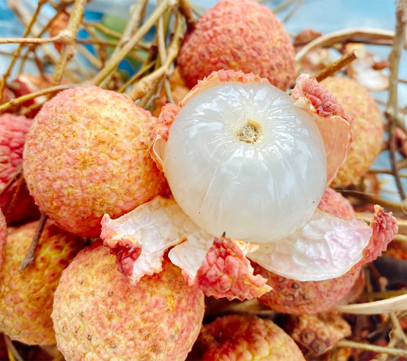 Làm việc này sau khi ăn vải, kết quả là làn da luôn láng mịn, căng hồng, không hề lên mụn nhọt- Ảnh 1.