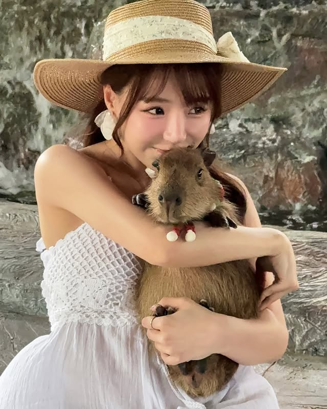 photo-1749192315802