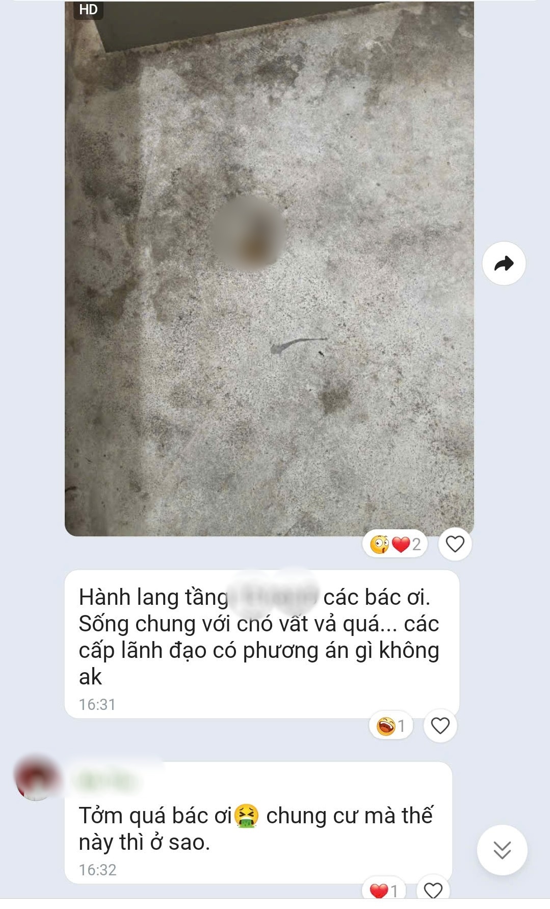 Khốn khổ vì hàng xóm yêu thú cưng "nửa mùa": Chất nặng mùi khiến cả chung cư khó thở nhưng tuyệt nhiên không ai nhận!- Ảnh 2. Khốn khổ vì hàng xóm yêu thú cưng "nửa mùa": Chất nặng mùi khiến cả chung cư khó thở nhưng tuyệt nhiên không ai nhận!- Ảnh 2.