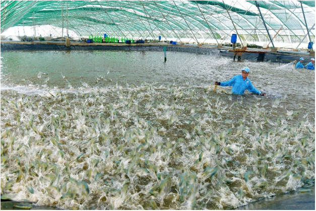 Hợp nhất tỉnh Bạc Liêu và Cà Mau - Mở đường phát triển toàn diện- Ảnh 2.