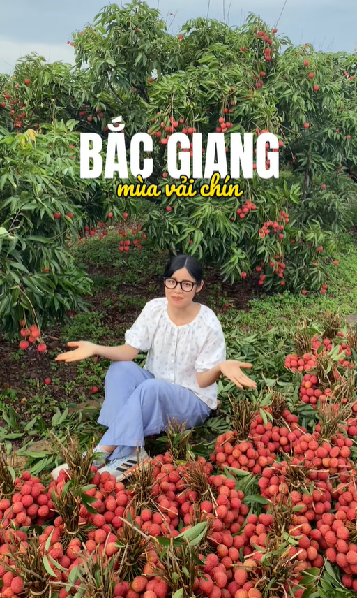 "Khối nghỉ hè" dùng TikTok rao bán vải hộ bố mẹ, 2h sáng được huy động ra vườn soi đèn thu hoạch- Ảnh 1. "Khối nghỉ hè" dùng TikTok rao bán vải hộ bố mẹ, 2h sáng được huy động ra vườn soi đèn thu hoạch- Ảnh 1.