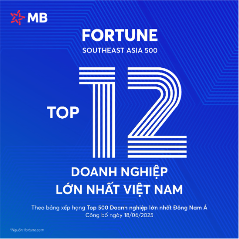 MB vượt 5 hạng trên Bảng xếp hạng  Fortune SEA 500 so với 2024- Ảnh 2.