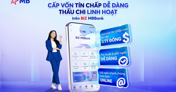 MB tiên phong tư duy mới trong xét duyệt tín dụng doanh nghiệp nhỏ- Ảnh 1. MB tiên phong tư duy mới trong xét duyệt tín dụng doanh nghiệp nhỏ- Ảnh 1.