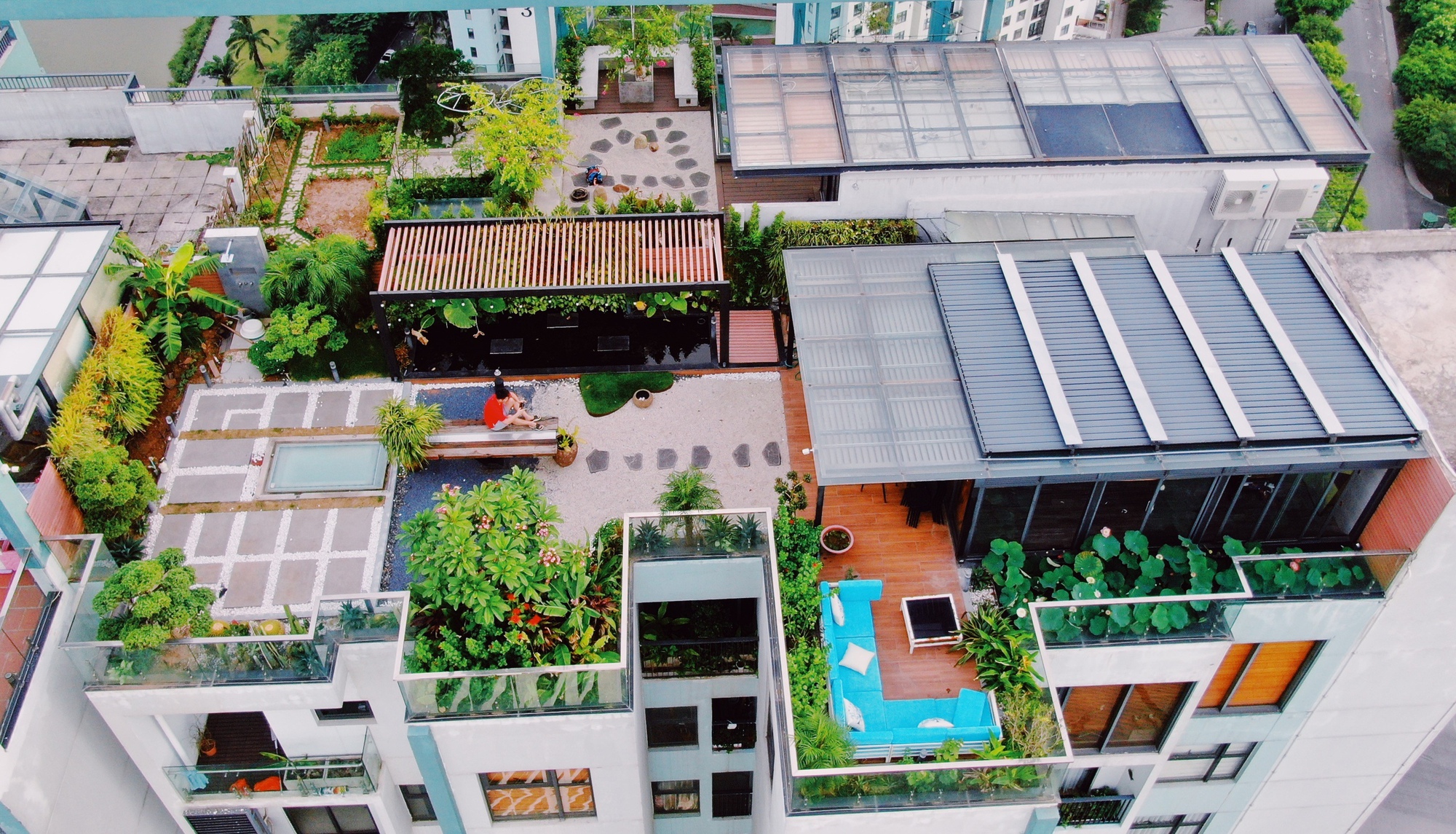 Ông bố trẻ biến sân thượng penthouse thành hồ sen nở rực – thành quả đẹp đến khó tin- Ảnh 17.