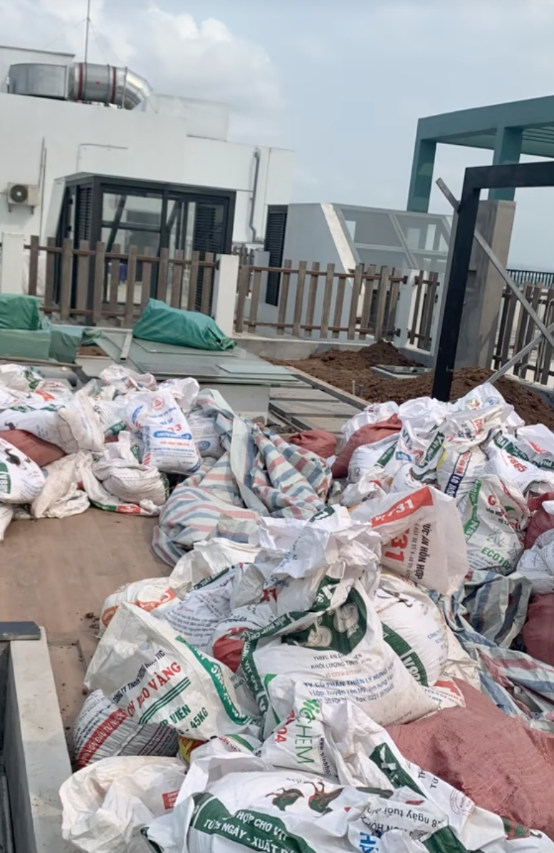 Ông bố trẻ biến sân thượng penthouse thành hồ sen nở rực – thành quả đẹp đến khó tin- Ảnh 5.