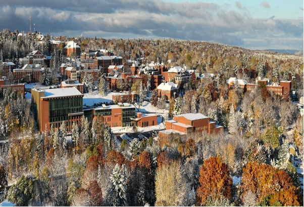 Làm sao du học Canada tiết kiệm đến 40% chi phí?- Ảnh 2.