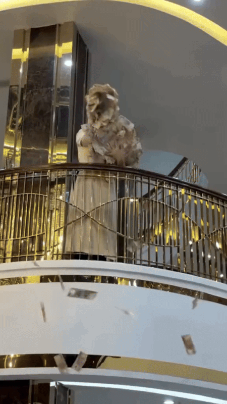 "Bóc" 2 BĐS trên 100 tỷ của Hoàng Hường, một trong số đó bị soi có dấu hiệu lạ- Ảnh 4. "Bóc" 2 BĐS trên 100 tỷ của Hoàng Hường, một trong số đó bị soi có dấu hiệu lạ- Ảnh 4.