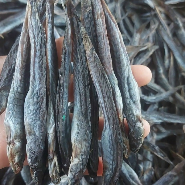 Loại cá "nhà nghèo" nay thành đặc sản, phơi khô bán 700.000 đồng/kg, nhà giàu mê như điếu đổ- Ảnh 6. Loại cá "nhà nghèo" nay thành đặc sản, phơi khô bán 700.000 đồng/kg, nhà giàu mê như điếu đổ- Ảnh 6.