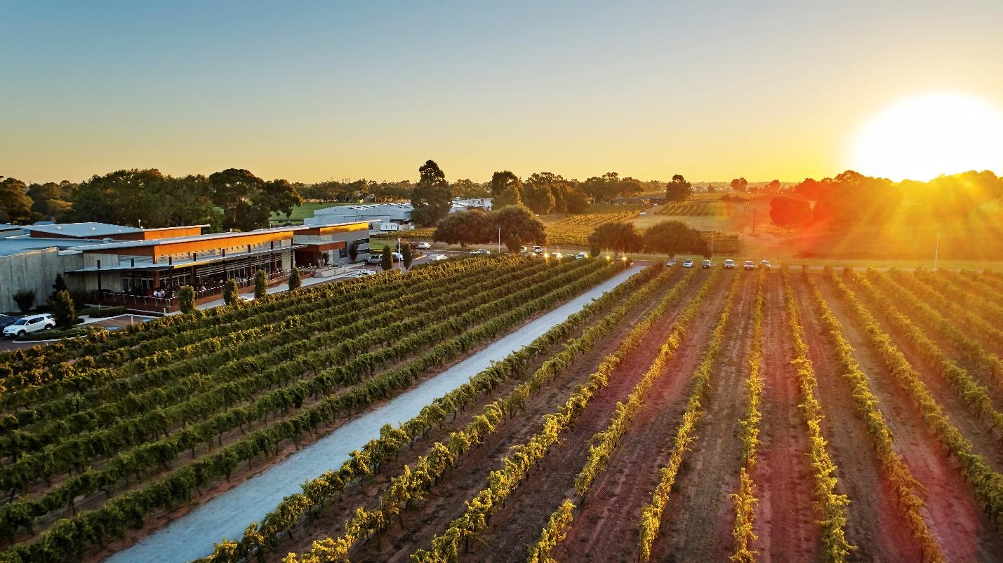 Đến 'Thành phố ánh sáng' Perth ngắm trời sao trên sa mạc- Ảnh 7.