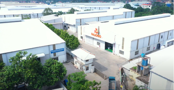 Người định hình thành công của Tập đoàn Baliogo- Ảnh 2.