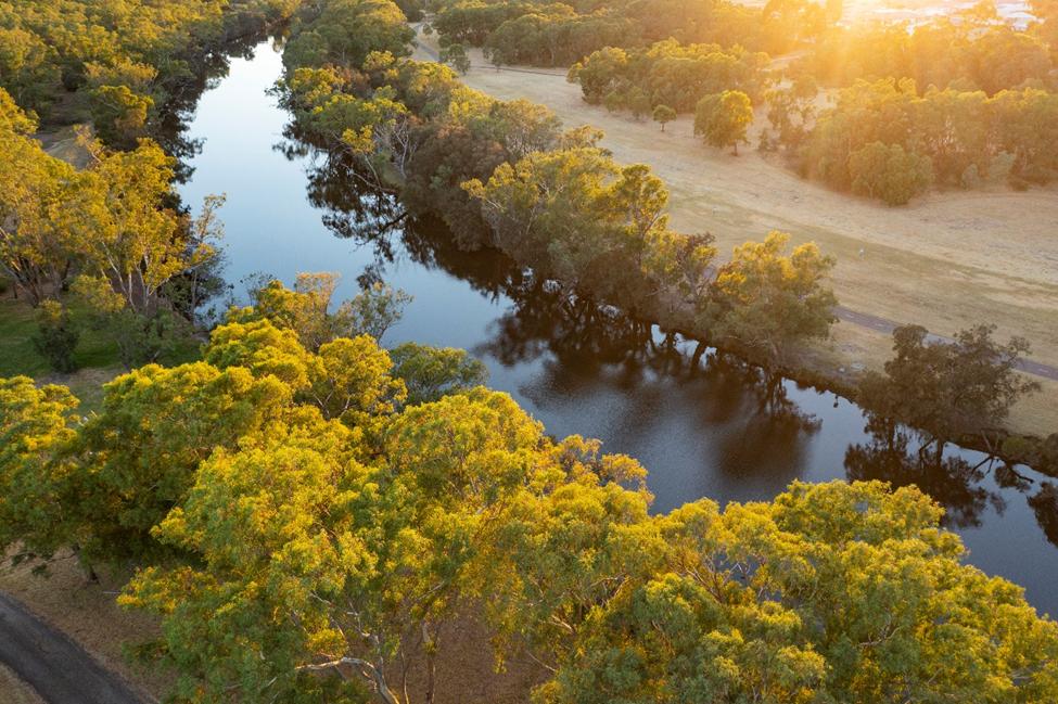 Thưởng thức rượu vang hảo hạng tại thung lũng Swan, Tây Australia- Ảnh 2.