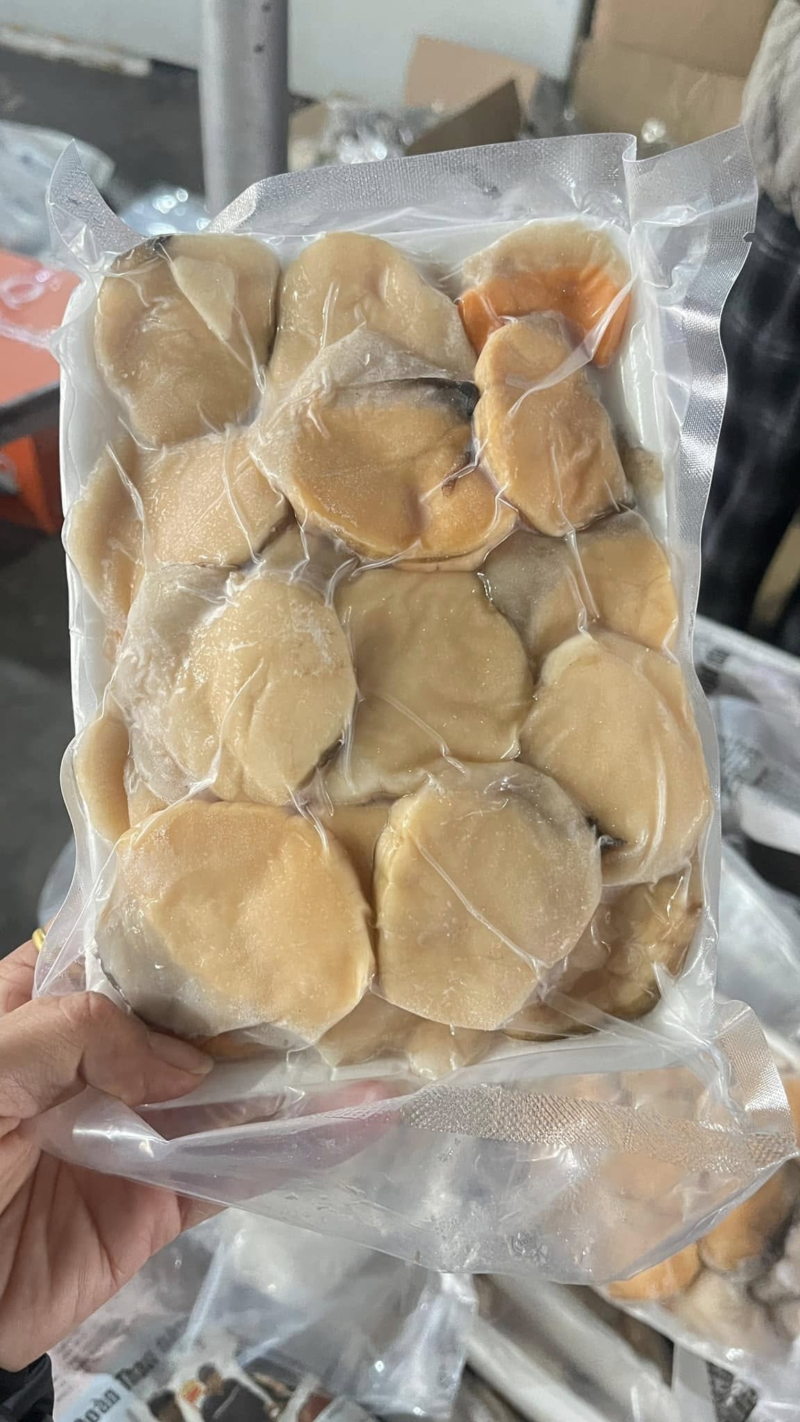 Đến hòn đảo này ai cũng ngơ ngác hỏi "đanh-hà-quăn" là gì, một khi đã biết sẽ lập tức tìm chỗ ăn cho bằng được!- Ảnh 5. Đến hòn đảo này ai cũng ngơ ngác hỏi "đanh-hà-quăn" là gì, một khi đã biết sẽ lập tức tìm chỗ ăn cho bằng được!- Ảnh 5.