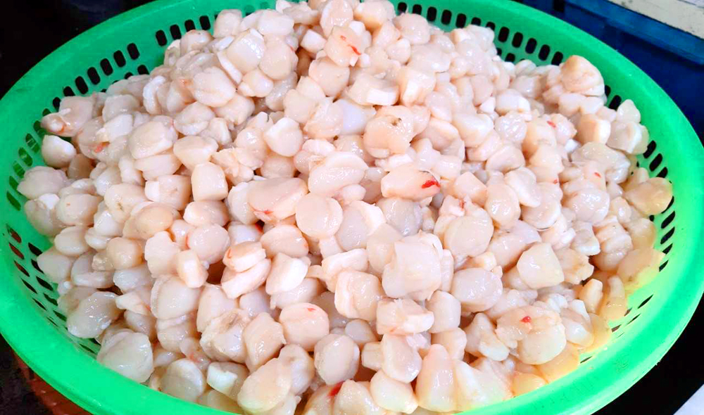 Đến hòn đảo này ai cũng ngơ ngác hỏi "đanh-hà-quăn" là gì, một khi đã biết sẽ lập tức tìm chỗ ăn cho bằng được!- Ảnh 4. Đến hòn đảo này ai cũng ngơ ngác hỏi "đanh-hà-quăn" là gì, một khi đã biết sẽ lập tức tìm chỗ ăn cho bằng được!- Ảnh 4.