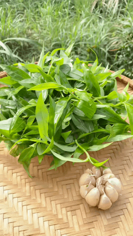 "Loại rau" gây ngỡ ngàng nhất mùa hè này: Tưởng là cỏ mọc dại nhưng nấu được loạt món ngon giúp thanh nhiệt cực tốt- Ảnh 3.