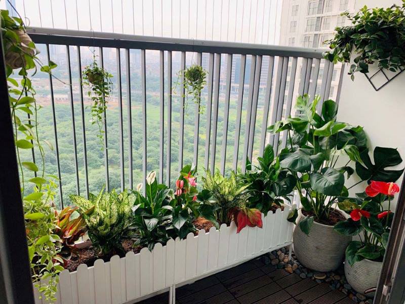 Dở khóc dở cười với muôn kiểu Dở khóc dở cười với muôn kiểu