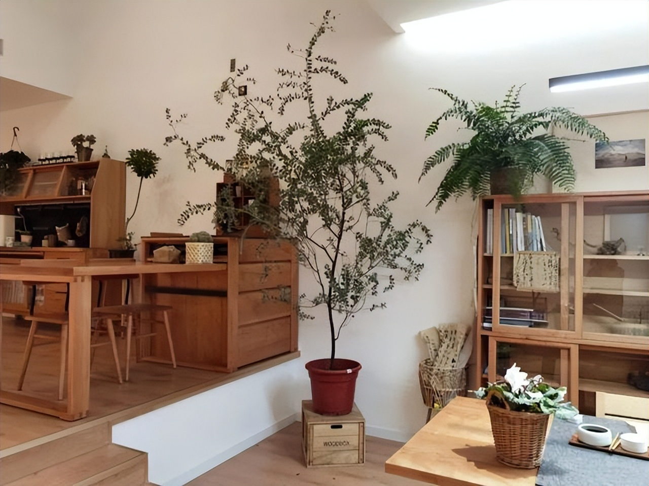 Mẹ đơn thân tuổi 50 sống cùng con trong biệt thự 300m²: "Ai bảo phụ nữ ly hôn là đáng thương?"- Ảnh 21.