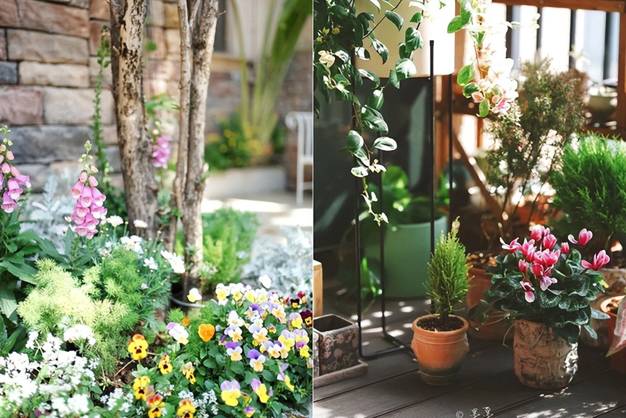 Mẹ đơn thân tuổi 50 sống cùng con trong biệt thự 300m²: "Ai bảo phụ nữ ly hôn là đáng thương?"- Ảnh 20.
