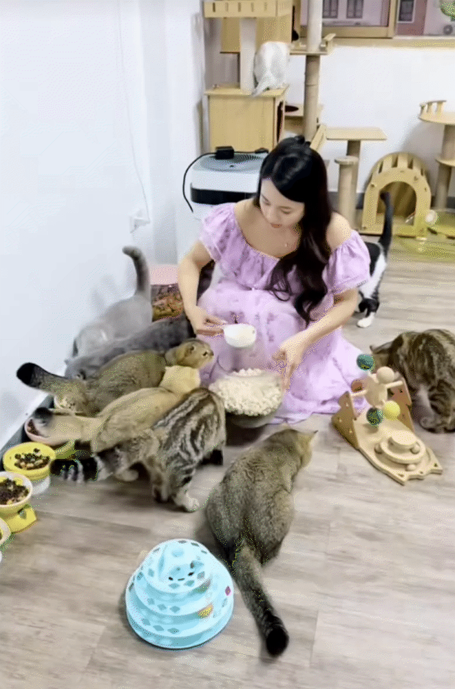 Nữ chính xinh nhất Độc Đạo khoe căn "chung cư cao cấp" cho đàn mèo cưng, dân mạng ùa nhau xinh link!- Ảnh 14.
