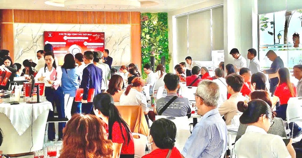 Đất nền và nhà phố phía Tây TP.HCM: Kênh đầu tư nào chiếm ưu thế?- Ảnh 1.