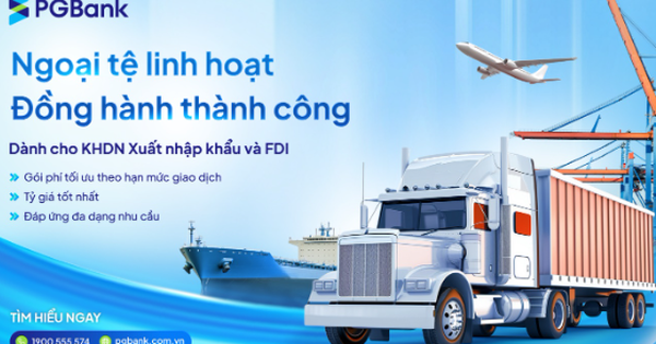 PGBank triển khai gói ưu đãi tài chính toàn diện dành cho doanh nghiệp xuất nhập khẩu và FDI- Ảnh 1.