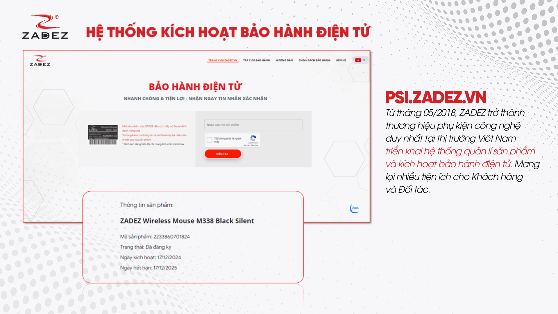 Viễn Sơn và Zadez – Khởi đầu cho một bước tiến bền vững  - Ảnh 4.