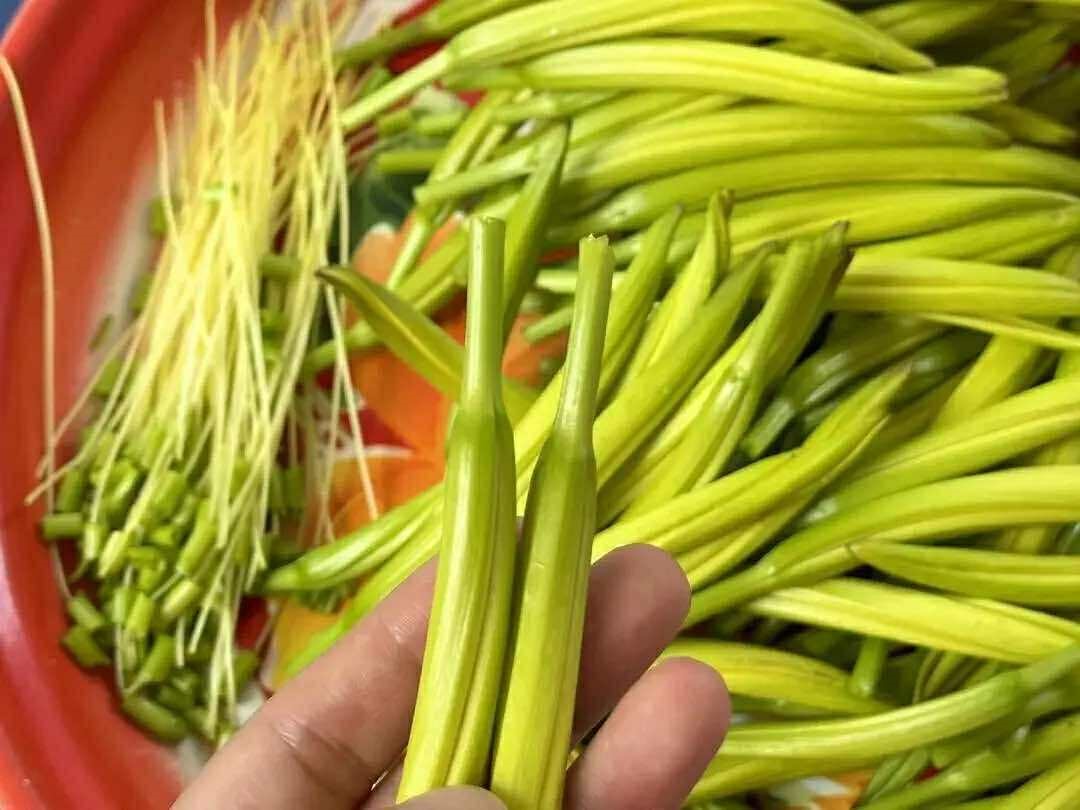 Đừng bỏ qua nếu thấy hoa "lạ mà quen" này bán ngoài chợ, mua ngay về xào cùng tỏi cực giòn ngon, thơm phức- Ảnh 4.