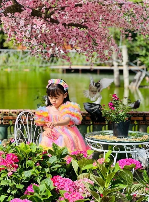 Ngôi nhà Hoa Cẩm Tú Cầu hồng 2 tỷ đồng đẹp như trong cổ tích, đến checkin ngay kẻo lỡ- Ảnh 17.