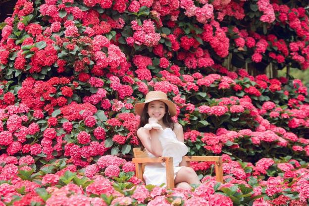 Ngôi nhà Hoa Cẩm Tú Cầu hồng 2 tỷ đồng đẹp như trong cổ tích, đến checkin ngay kẻo lỡ- Ảnh 19.
