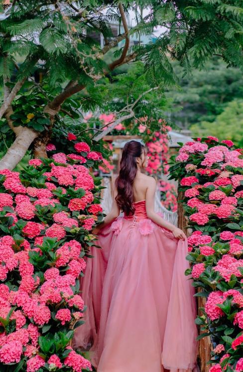 Ngôi nhà Hoa Cẩm Tú Cầu hồng 2 tỷ đồng đẹp như trong cổ tích, đến checkin ngay kẻo lỡ- Ảnh 4.