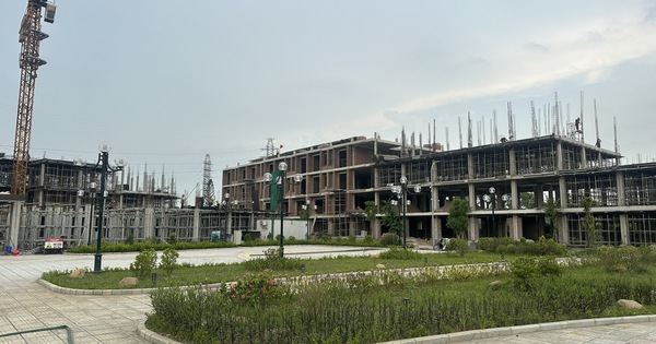 Hải Phòng: Ngôi sao mới của thị trường bất động sản- Ảnh 1.