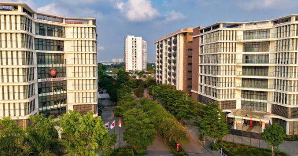 ĐH Đại Nam: 41 ngành học đón đầu xu hướng, 100% sinh viên được kết nối việc làm- Ảnh 1.