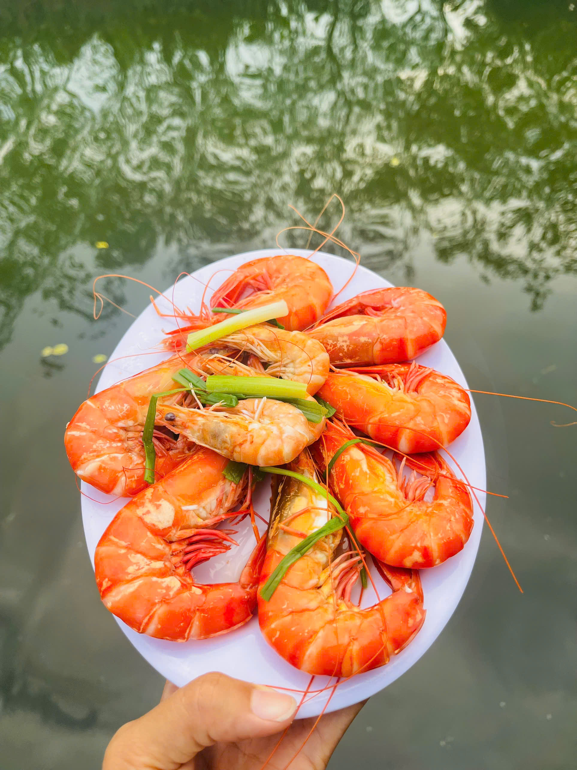 Gặp người phụ nữ "giàu nhất Phá Tam Giang" và câu chuyện biến vùng đất hoang sơ thành miền ký ức!- Ảnh 10.