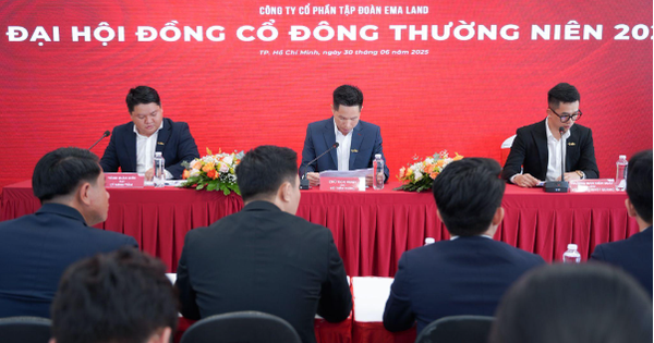 EMA Land tổ chức thành công đại hội cổ đông năm 2025- Ảnh 1.
