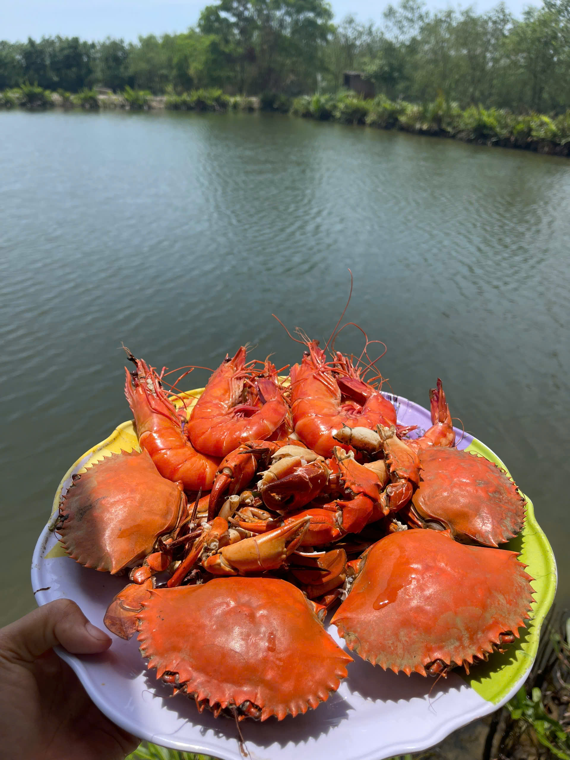 Gặp người phụ nữ "giàu nhất Phá Tam Giang" và câu chuyện biến vùng đất hoang sơ thành miền ký ức!- Ảnh 9.