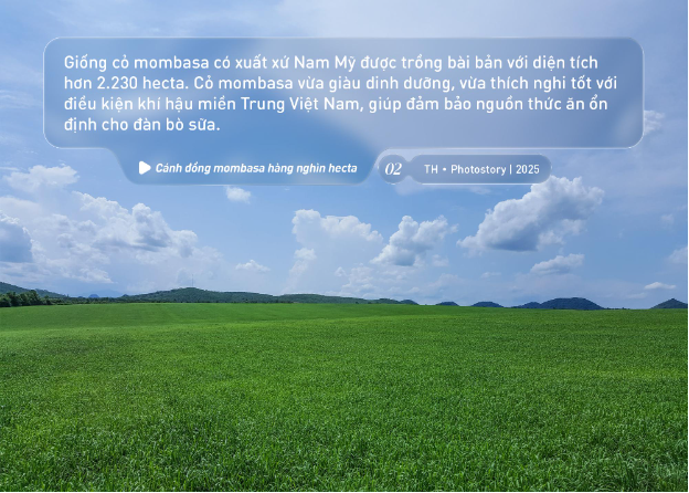 Bức tranh thiên nhiên ngút tầm mắt chỉ có ở nơi sản xuất sữa tươi sạch TH true MILK- Ảnh 3.
