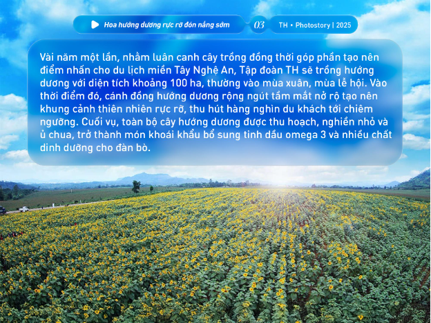 Bức tranh thiên nhiên ngút tầm mắt chỉ có ở nơi sản xuất sữa tươi sạch TH true MILK- Ảnh 4.