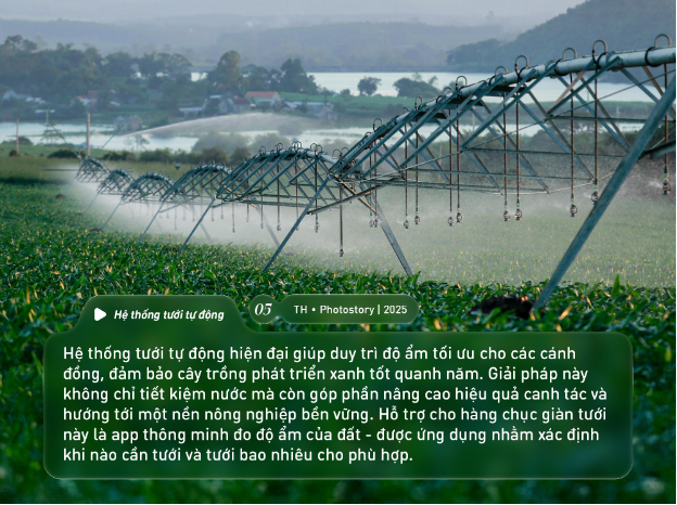 Bức tranh thiên nhiên ngút tầm mắt chỉ có ở nơi sản xuất sữa tươi sạch TH true MILK- Ảnh 6.