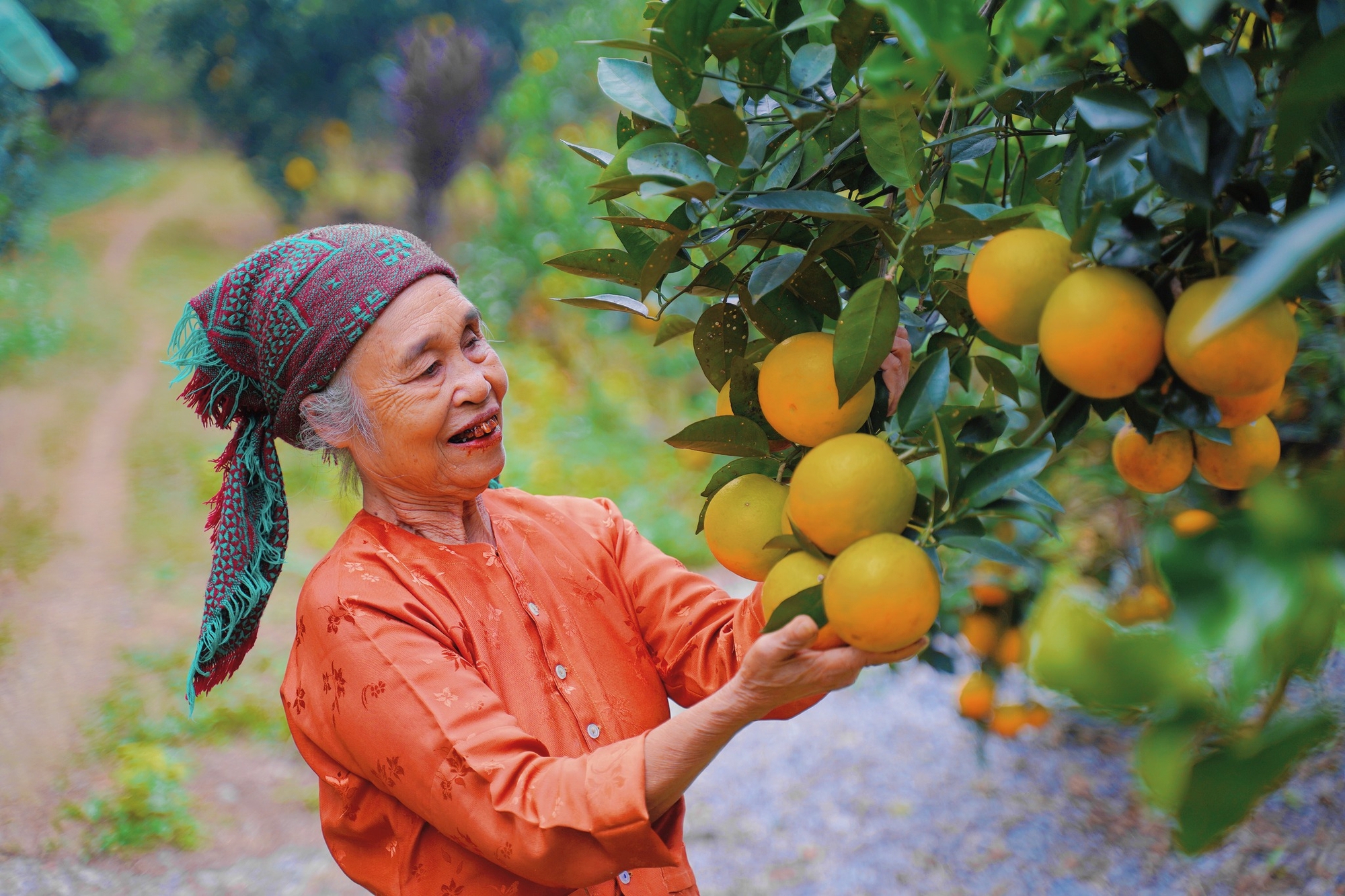 Thêm nhiều hàng hóa, dịch vụ được miễn VAT từ tháng 7: Đối tượng, ngành nghề nào được hưởng lợi?- Ảnh 2.